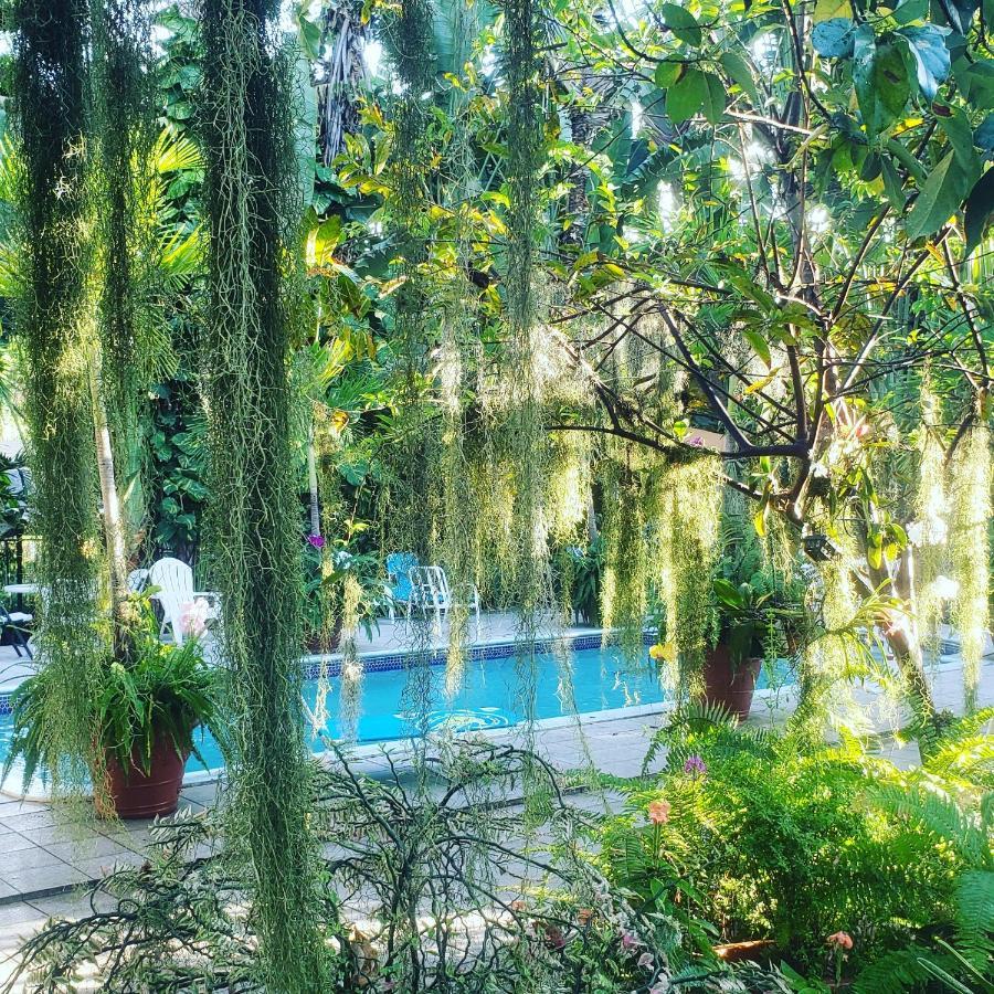 Orchid Cottage Κίνγκστον Εξωτερικό φωτογραφία