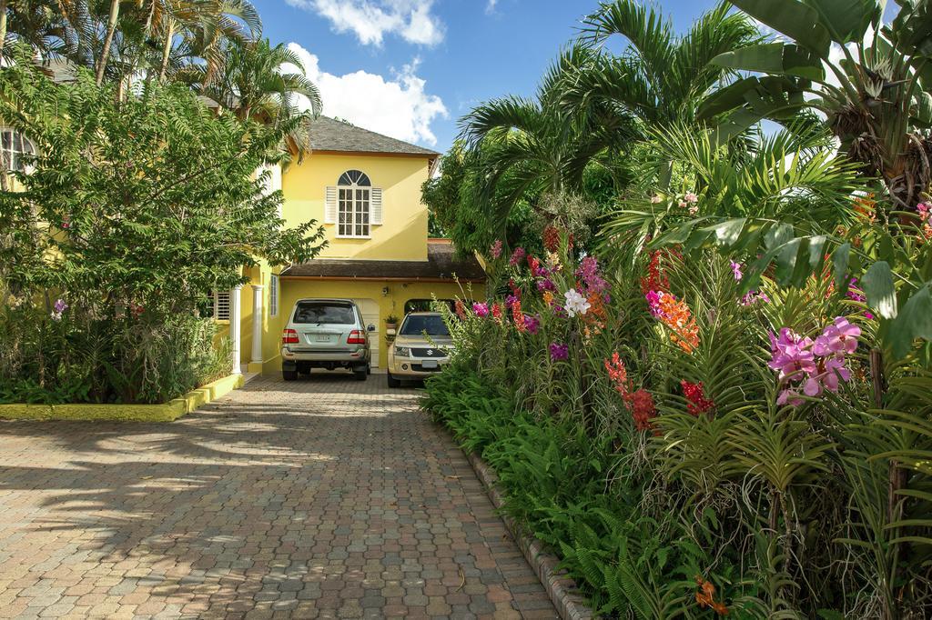 Orchid Cottage Κίνγκστον Εξωτερικό φωτογραφία