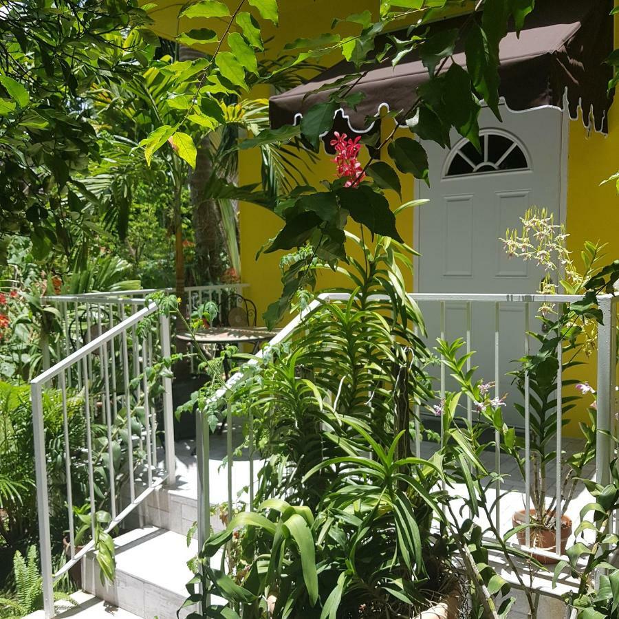 Orchid Cottage Κίνγκστον Εξωτερικό φωτογραφία